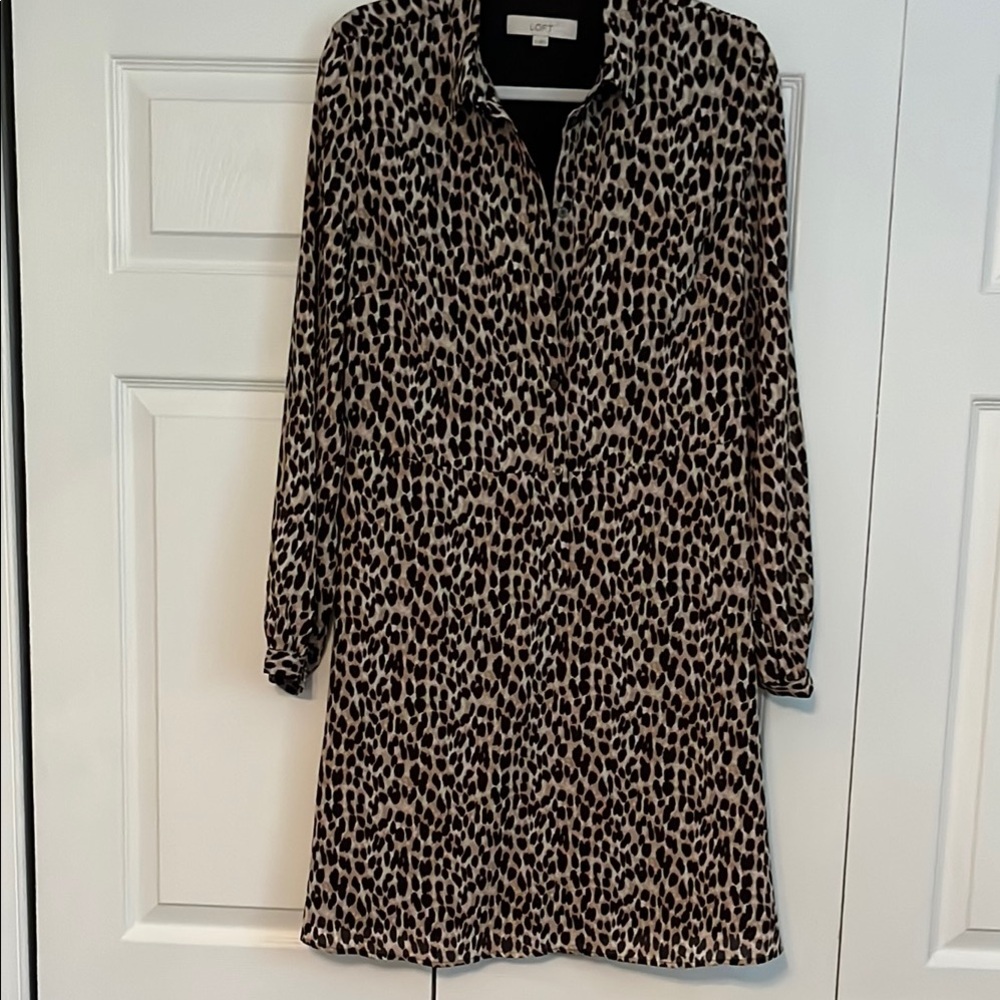 Leopard Print Long Sleeve Dress